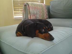 Lookit how cute I am!