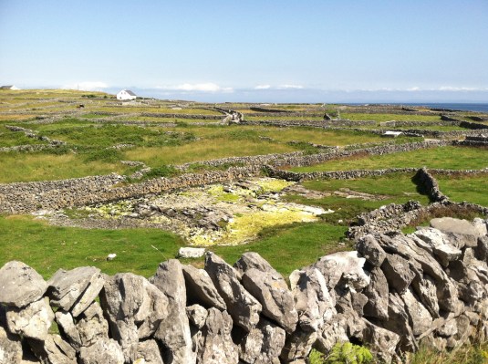 See the rocks in the field?