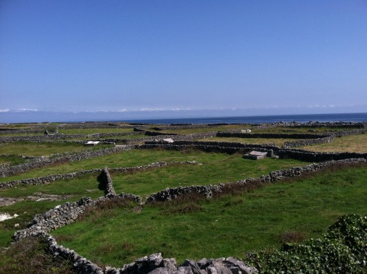 The farming families who live here move the rocks from the field and build the paddocks. Millions of rocks, hundreds of paddocks.