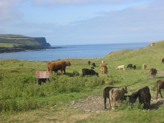Sign Reads: Dangerous for Bathing Beyond this Point
