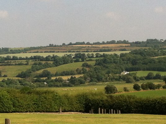 Traditonal Irish Countryside