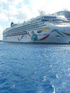 10247308_10152165353439177_752346049995160927_n