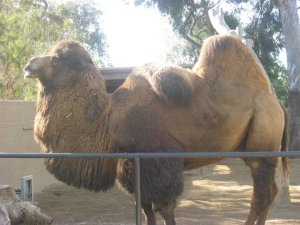 154386_1715423975501_3212445_n