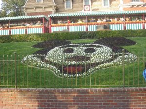 163637_1715425535540_2234355_n