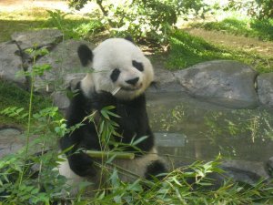 47636_1715423615492_6675173_n