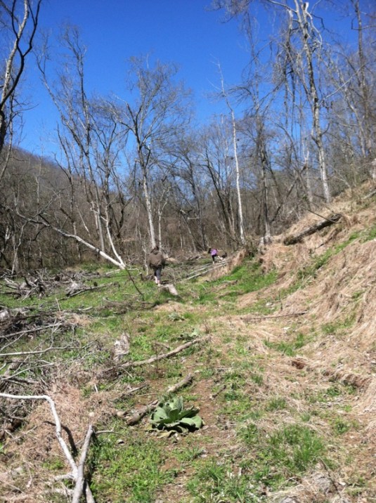 Young, spry children off in the distance