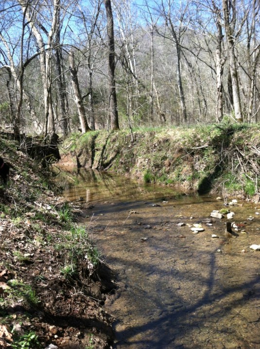 Treacherous Creek Crossing