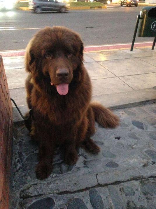 37cb7948-7334-4cab-badf-60034dd75ba2